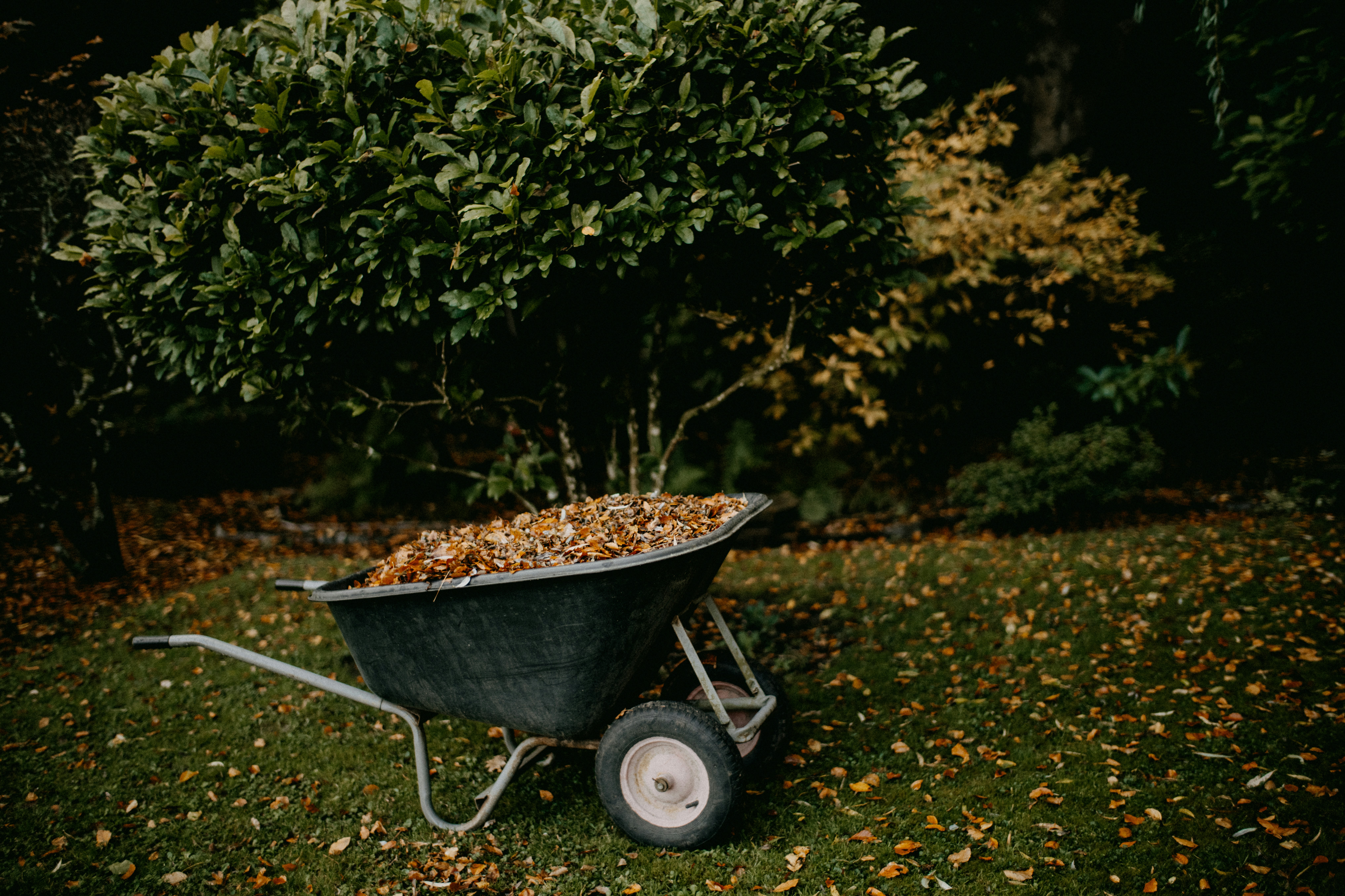 Garden clearing and maintenance Yorkshire